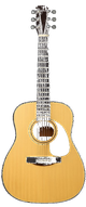 Acoustic Guitar